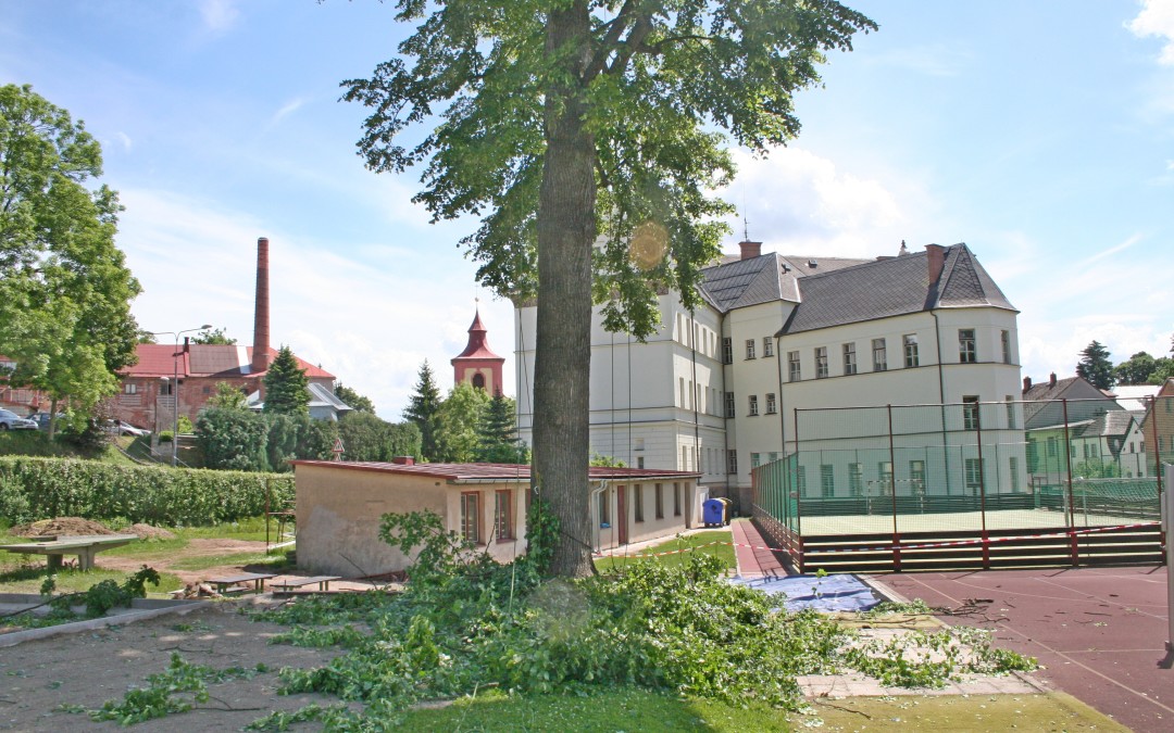 Ošetření stromů ZŠ Komenského Jilemnice